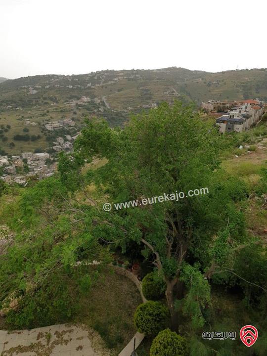 فيلا مساحة 1 دونم و 481م على ارض 2 دونم و 270م للبيع في عمان - الكرسي