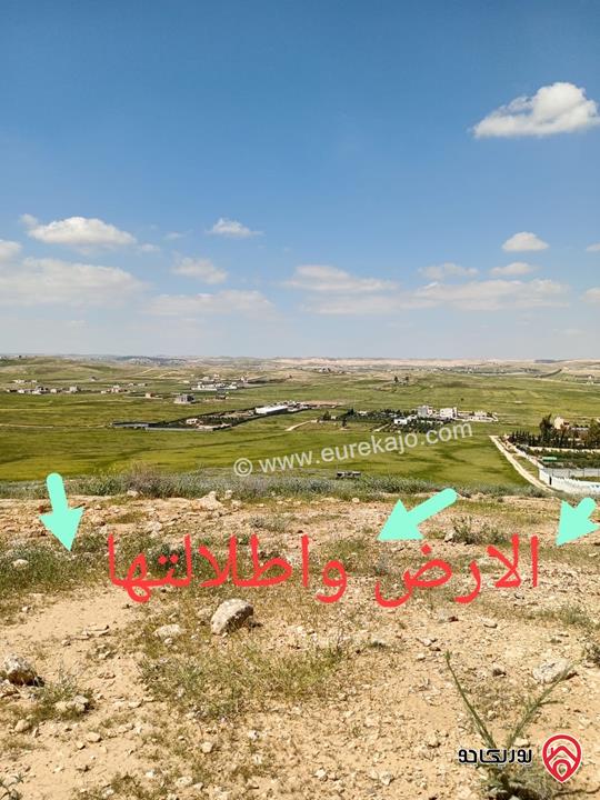 قطعة ارض مساحة 3 دونم 407م للبيع في المفرق