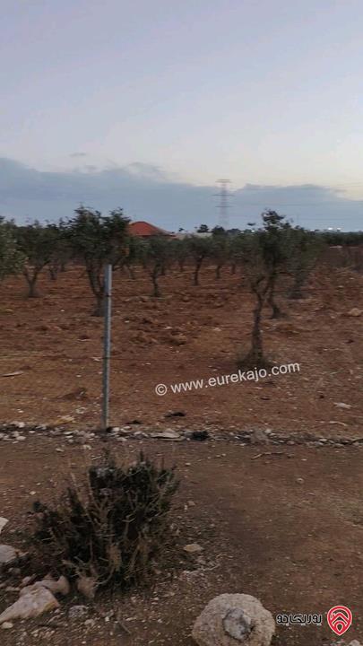 ارض مساحة 4 دونم و 500م للبيع في عمان - ام العمد حوض الحوام 