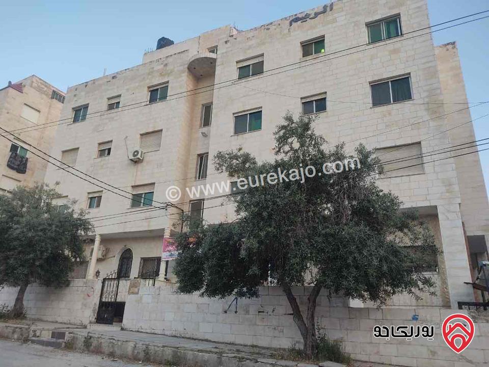 عمارة سكنية مكونة من 4 طوابق مؤجرة لطالبات (شقق مفروشة) على أرض 670م للبيع في اربد - الحي الجنوبي