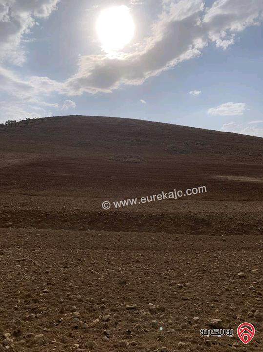 ارض مساحة 12 دونم للبيع في جرش - منطقة قفقفا 