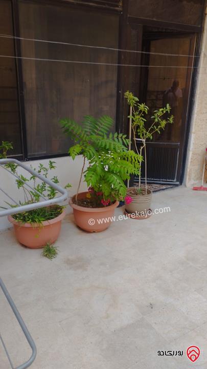 شقة شبه أرضية مساحة 120م داخلي و 100م خارجي للبيع في عمان - ضاحية الرشيد