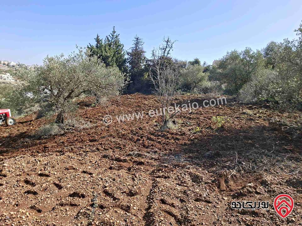 قطعة أرض مساحة 1 دونم للبيع في السلط - سوادة الشمالي