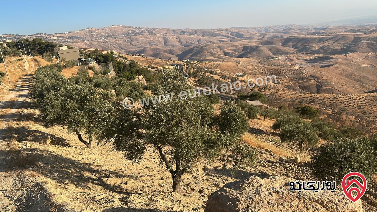 فرصة استثمارية مميزة – أرض مساحة 2 دونم للبيع في السلط - ميسرا الغربية