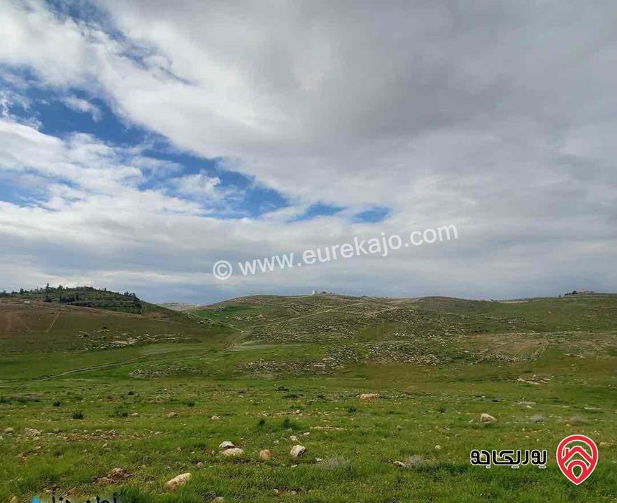 أرض مساحة 10294م للبيع في عمان في منطقة شفا بدران زينات الربوع من المالك مباشره