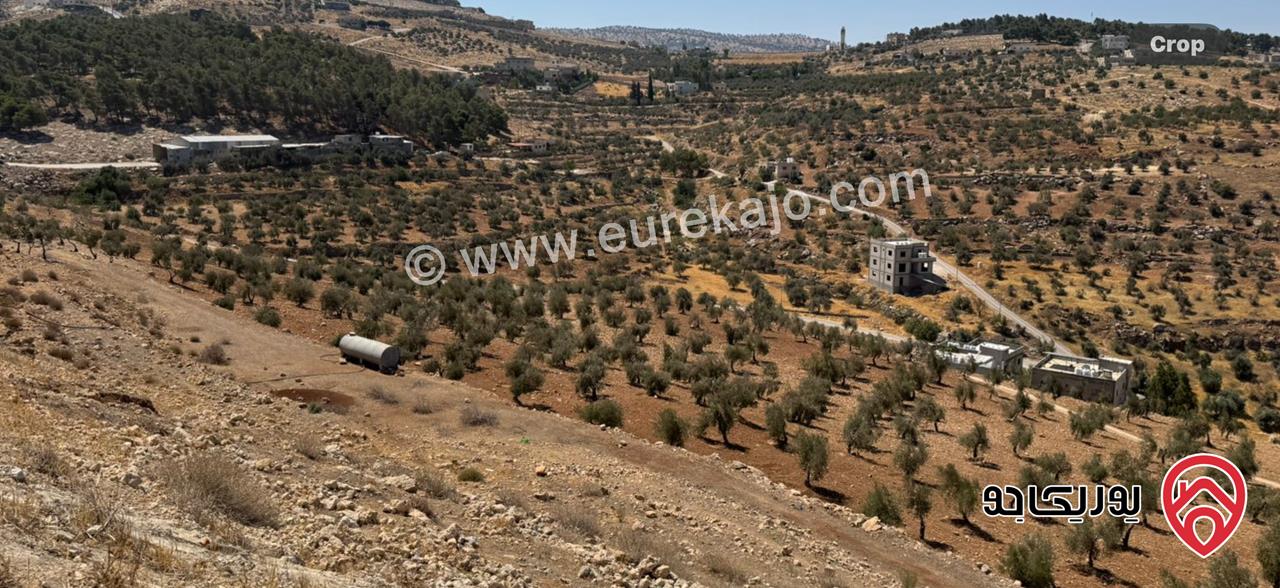 قطعة أرض مساحة 1 دونم للبيع في المصطبة طريق جرش 
