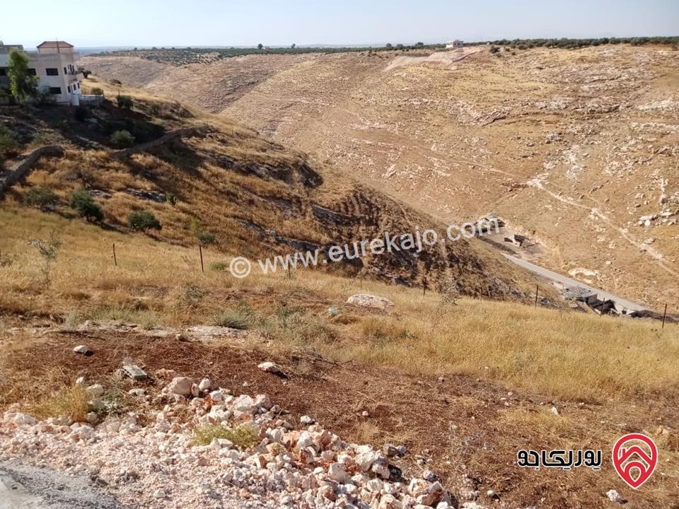 مزرعة مساحة 8700م للبيع في اربد بني كنانه منطقة يبلا 