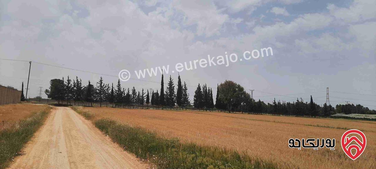 ارضمساحة 2 دونم  للبيع في عمان - ام العمد سكن ريفي حوض ابو الصيصان 