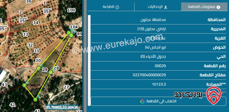 قطعة ارض مساحة 10 دونم للبيع في عجلون - عنجرة 