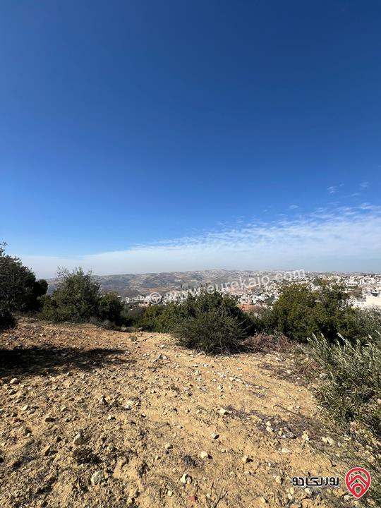 قطعة ارض مساحة 1 دونم للبيع في عمان الغربيه ماحص (بدر الجديده)