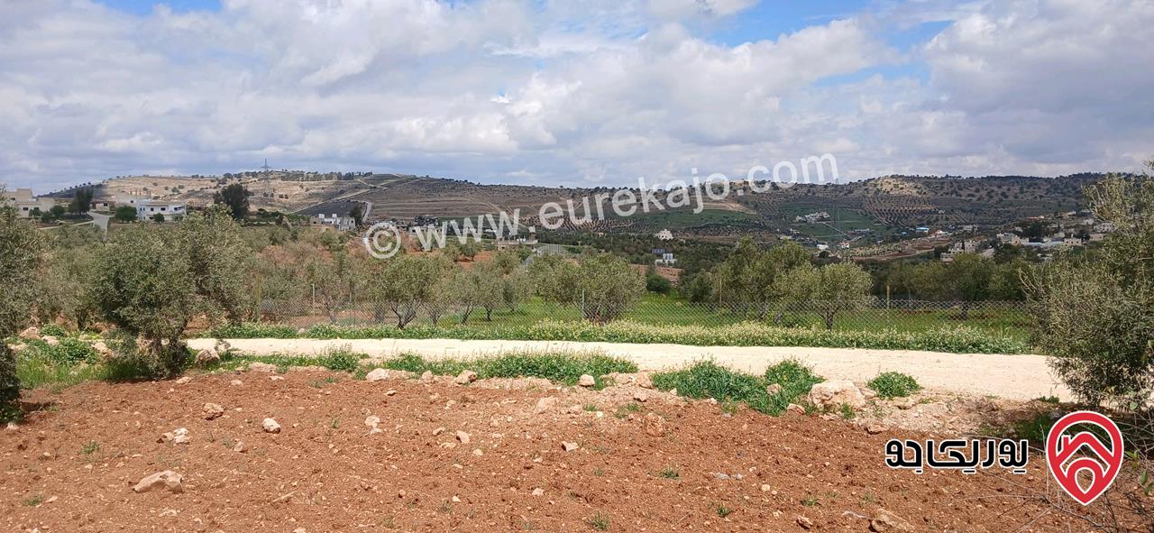 أرض مناسبة لمزرعة مساحة 3 دونم و 88م للبيع في الزرقاء - الكمشة