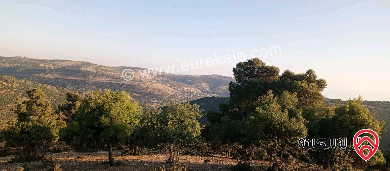 أرض مميزة مساحة 2 دونم للبيع في محافظة عجلون منطقة عنجرة / خربة الحنيش الأثرية 