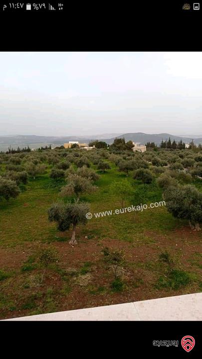 مزرعة مساحة الأرض 11 دونم وبناء مساحة 1200م للبيع في السلط