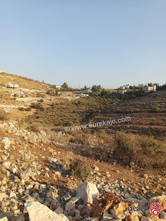 ارض مساحة 1044م للبيع في البلقاء - السلط