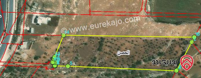 ارض 12624م للبيع في اربد - الحصن ضمن حوض بيضاة السلالم 