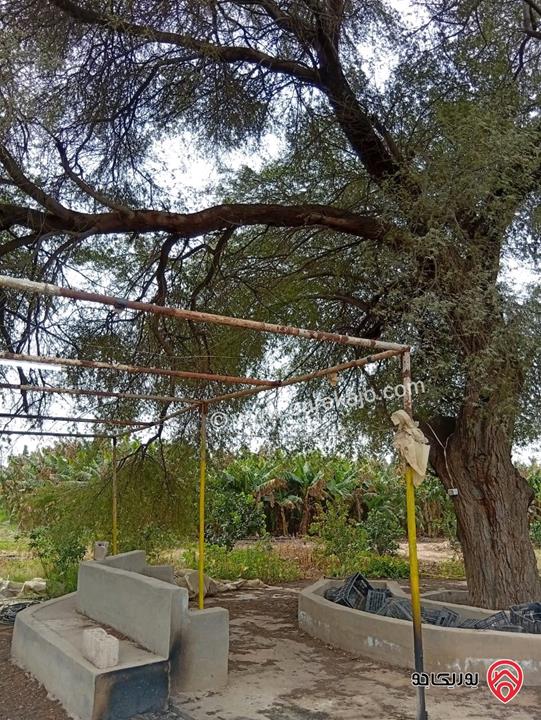 قطعة ارض مساحة 3 دونم و 400م للبيع في اربد - الأغوار الشمالية 