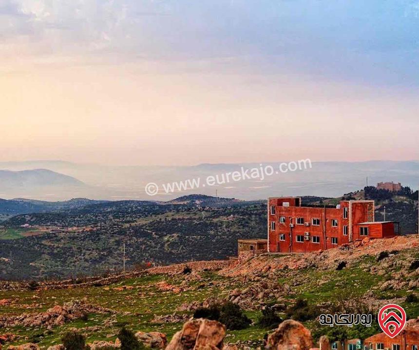 أرض مساحة 2 دونم و 357م للبيع في عجلون - عنجرة