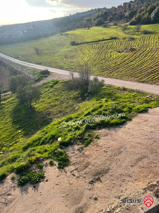 ارض مساحة 1 دونم و 982م للبيع في عجلون عنجرة سرابيس