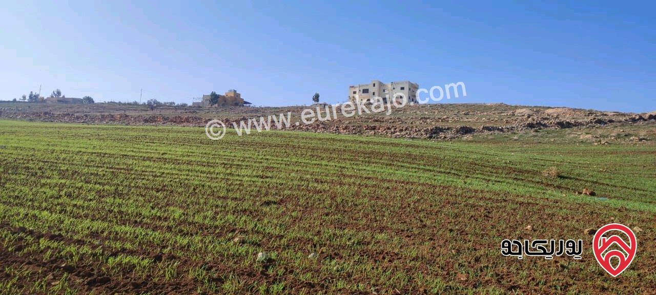 قطعة أرض مساحة 6 دونم و 280م للبيع في مادبا بجانب الجامعة الامريكية