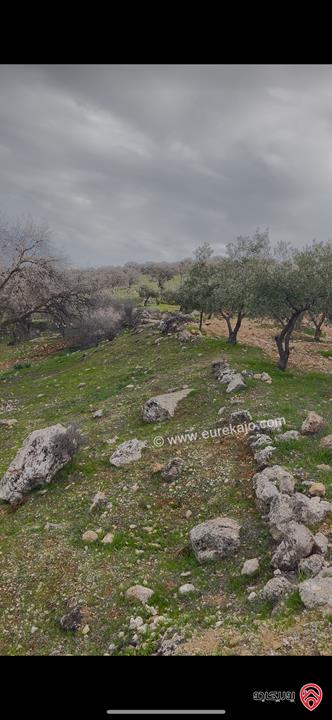 ارض مساحة 3 دونم و 750م للبيع في الزرقاء - العالوك