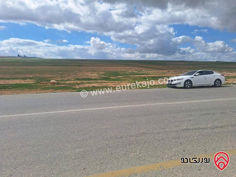 قطعة أرض مساحة 13 دونم و 500م للبيع في المفرق - حوض المنيفة