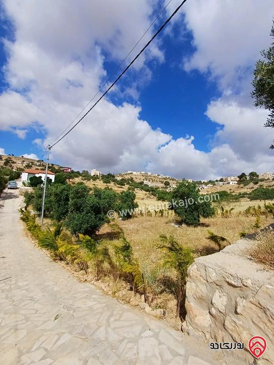 مزرعة مساحة الأرض 2 دونم و 72م عليها بيت ريفي 62م للبيع في الزرقاء - بيرين