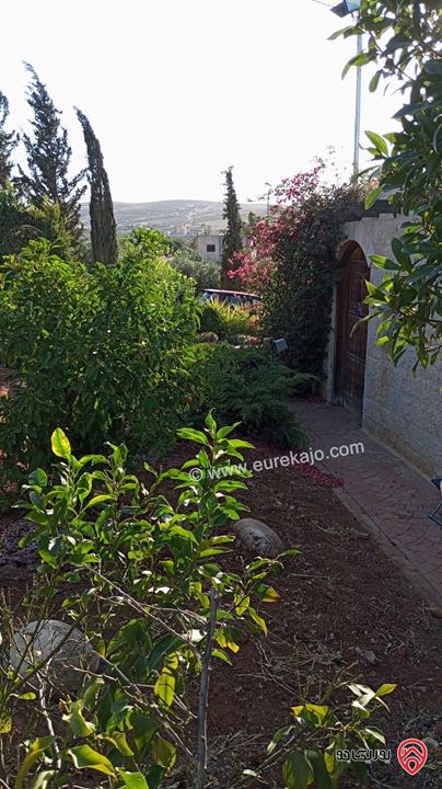 مزرعة مساحة الأرض 4 دونم و 500م والبناء 100م للبيع في الزرقاء - منطقة بيرين 