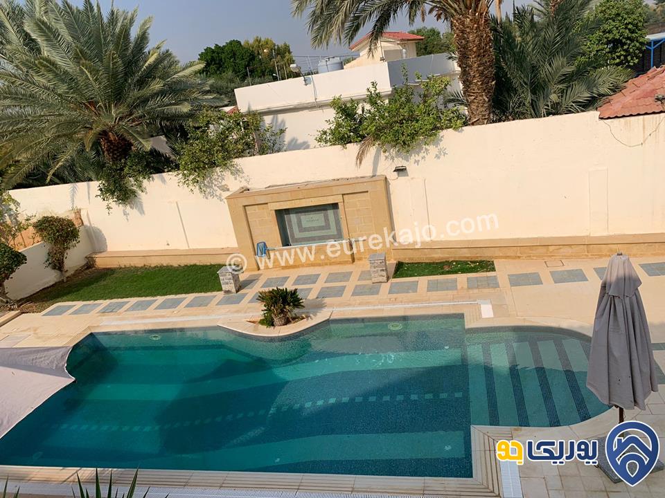  palms farm مزرعة مميزة للإيجار في البحر الميت 