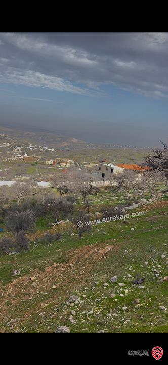 ارض مساحة 3 دونم و 750م للبيع في الزرقاء - العالوك