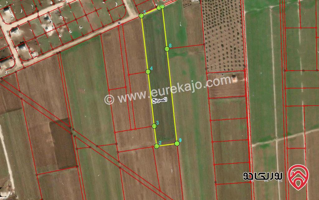 قطعة أرض مساحة 7 دونم و 500م للبيع في اربد - شرق الصريح 