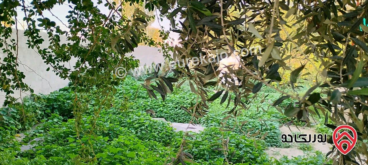 شاليه للبيع من المالك مساحة الأرض 588م والبناء 150م مع مسبح للبيع في البلقاء - دير علا