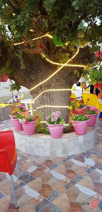 مزرعة مساحة 3 دونم + فيلا ريفية 220م للبيع في الزرقاء - صروت