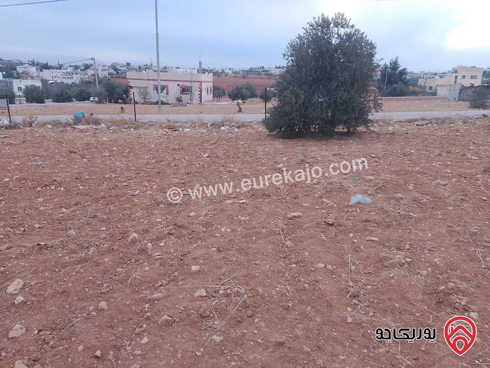 ارض للبيع مساحة الأرض 942م في المفرق - بلعما داخل التنظيم    