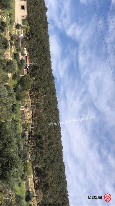 قطعة ارض مساحة 6 دونم و 500م للبيع كاملة او جزء منها في الزرقاء - الكمشة حوض البيرة 