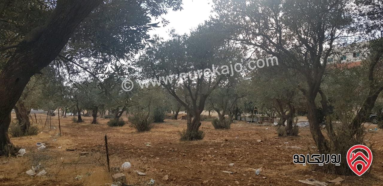 أرض مساحة 917م للبيع في عمان - حسبان خلف الجامعة الألمانية الأردنية