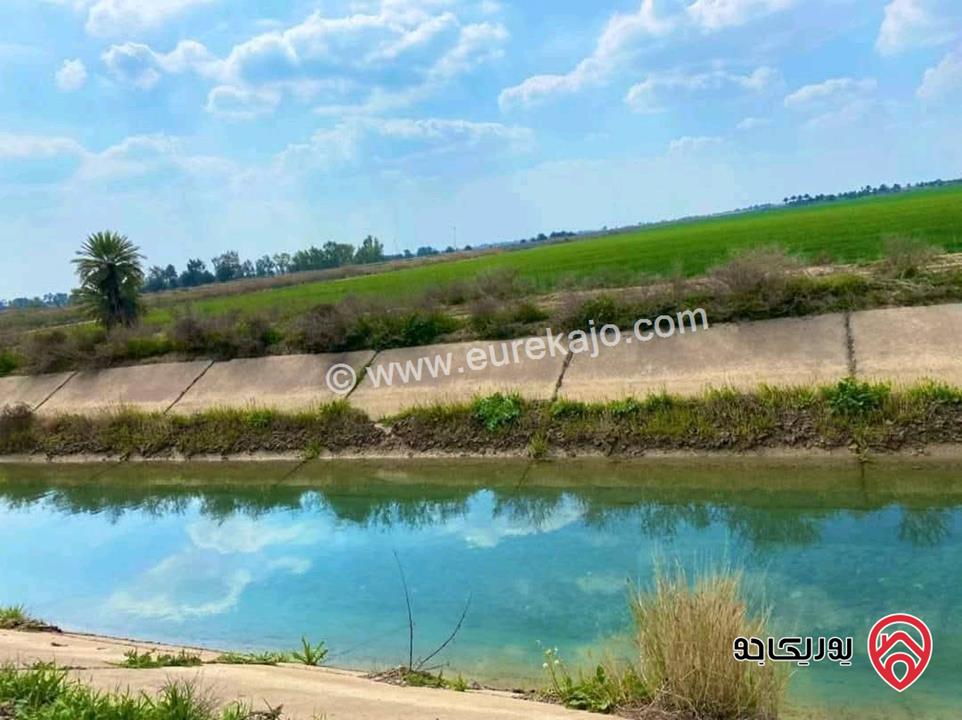 مزرعة حمضيات مساحة 53 دونم للبيع في الأغوار الشمالية 