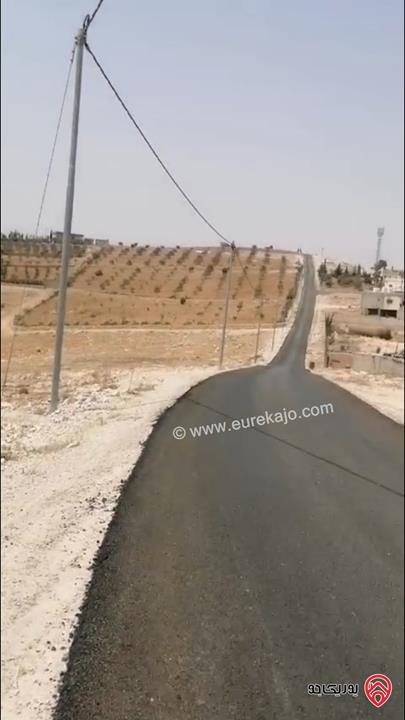 ارض مساحة 4 دونم للبيع في المفرق - بلعما - عين والمعمرية 