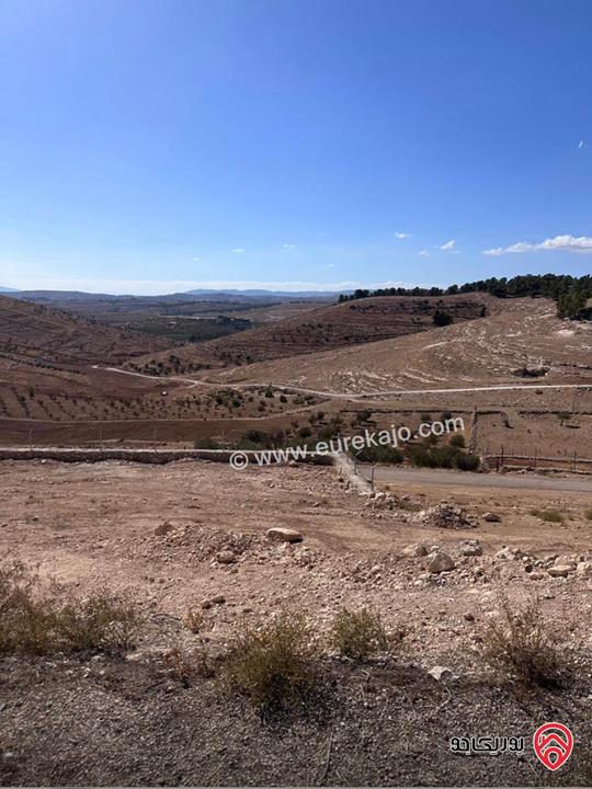 ارض على شارعين مساحة 939م للبيع في المفرق - حمامة