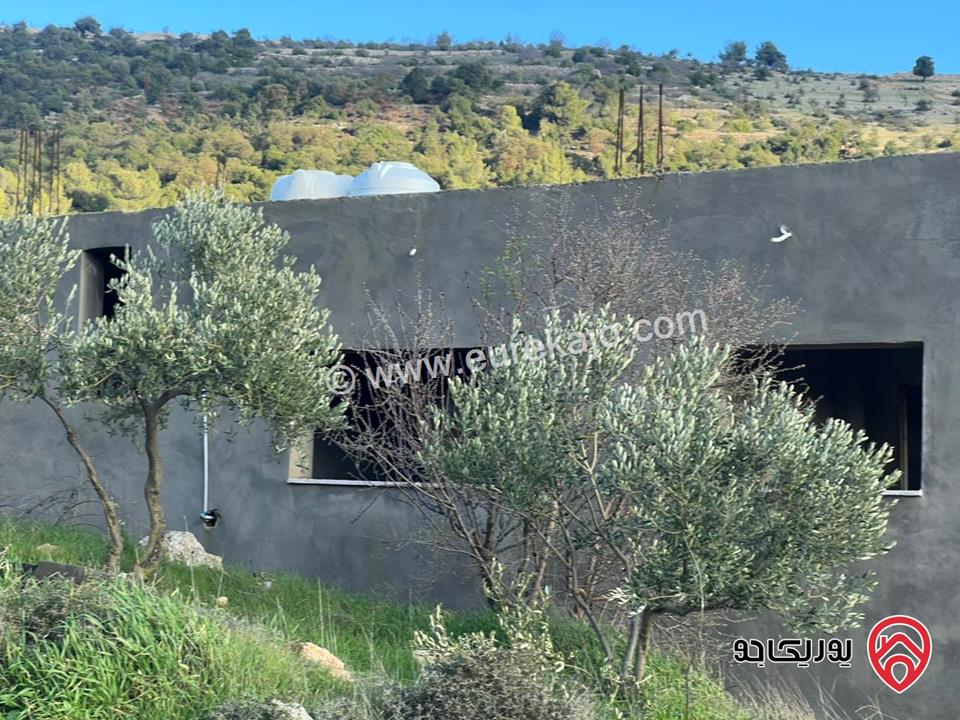 ارض مساحة 1 دونم و 982م للبيع في عجلون عنجرة سرابيس