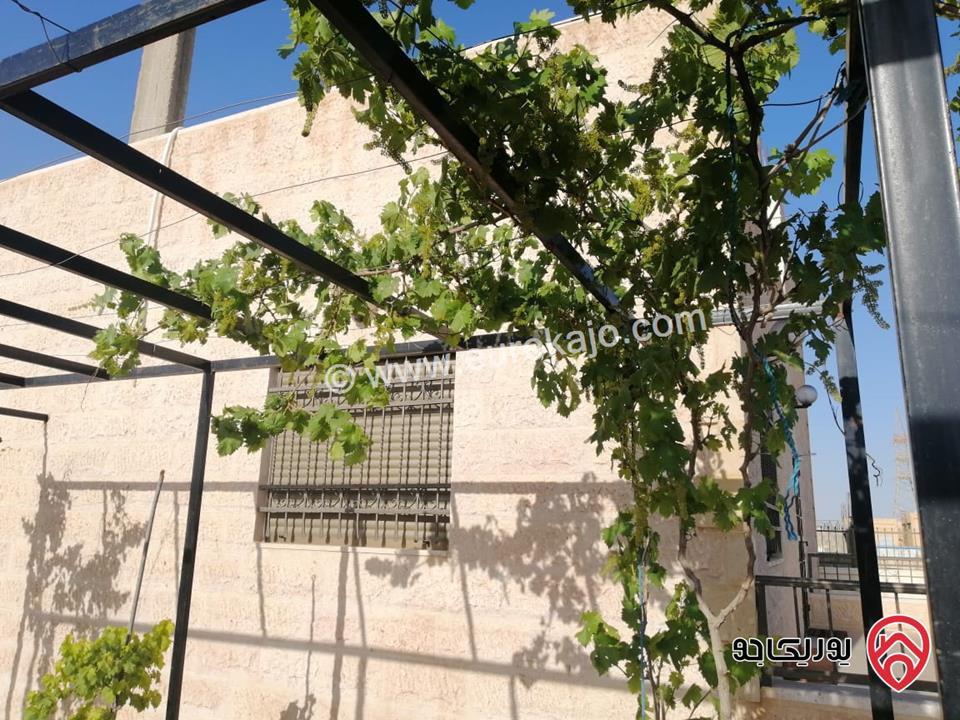 مزرعة مساحة الأرض 523م والبناء 110م للبيع في عمان - منطقة الجيزة بجانب المطار مباشرة