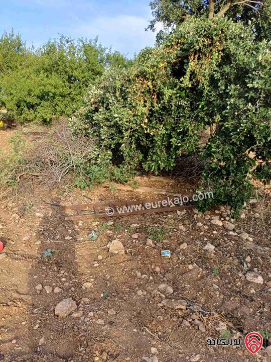 مزرعة مساحة 14 دونم للبيع في اربد - أراضي بني كنانة منطقة سمر