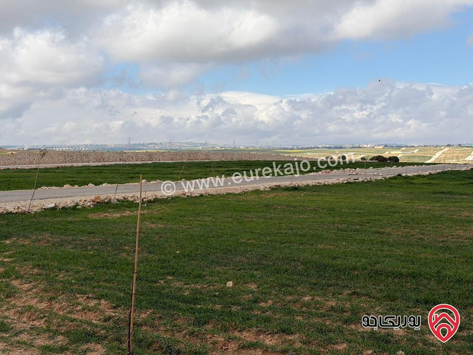 اراضي سكنية مساحة 1 دونم و 700م للبيع في عمان - مقابل مطار الملكة علياء من المالك مباشرة 