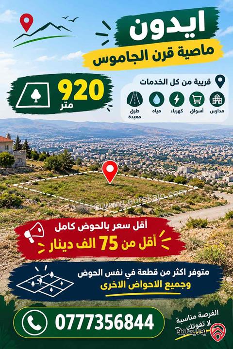قطعة ارض مساحة 920م للبيع في اربد - ايدون ماصية قرن الجاموس