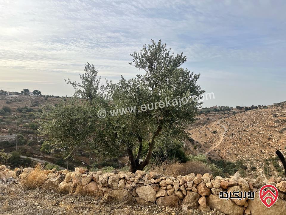 قطعة أرض زراعي مساحة 8 دونم و 830م للبيع في السلط - المغاريب 