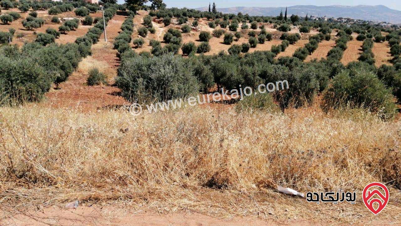 ارض مساحة 5 دونم و 360م للبيع في السلط - ميسرا