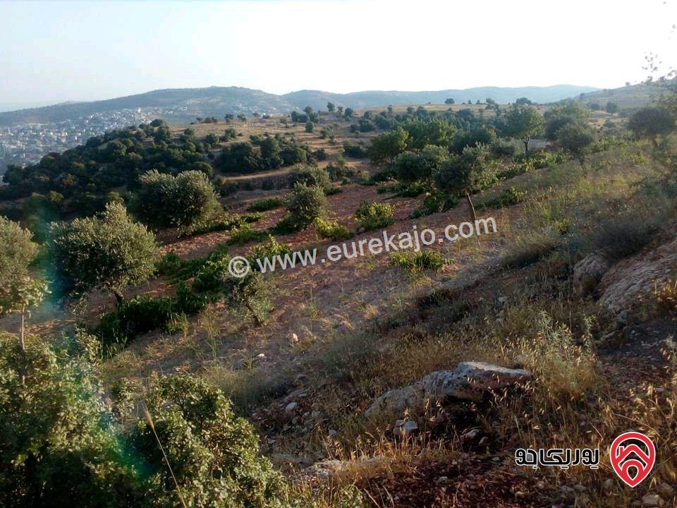 مزرعة مساحة الأرض 16 دونم للبيع في جرش - سوف