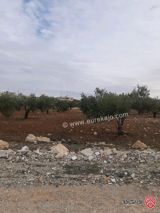 أرض مساحة 1 دونم و 74م للبيع في جرش سلحوب تبعد عن شارع الاردن تقريبا 2 كيلومتر، جميع الخدمات متوفرة ع شارع 12م