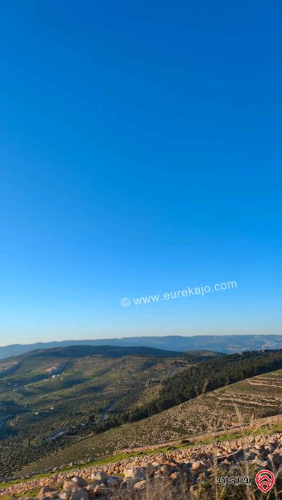 أرض مساحة 5 دونم و 500م للبيع في الزرقاء - الكمشة من المالك مباشرة قمة جبل و إطلالة غربية بانورامية