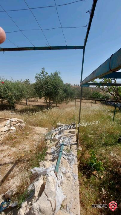 أرض مساحة 885م للبيع في عمان - سالم