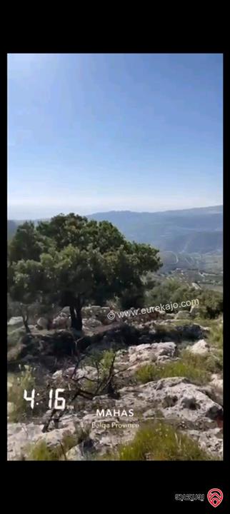 قطعة أرض مساحة 5856 متر للبيع في البلقاء - منطقة ماحص /الميده